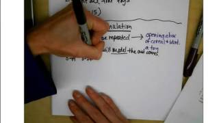 AP Statistics: Simulations and Probability D29 pt1