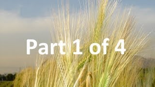 Barley Genome and BACs - Part 1 of 4