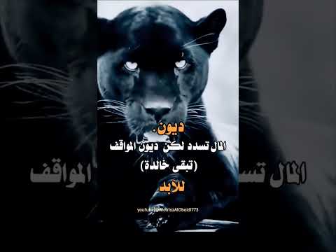 ديون المال تسدد لكن حالات واتساب ستوريات حزينه  معتز محمد العبيدي