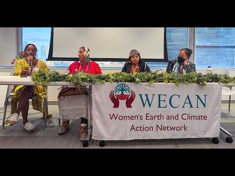 Indigenous Women Resisting Extraction and Building a Just Transition | WECAN at UNPFII