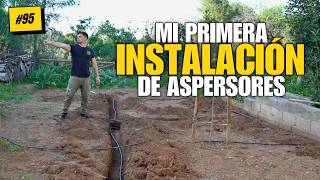 I installed sprinklers for the first time (and it didn't turn out as I expected)