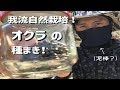 オクラの種まき！ [4.6/我流自然栽培] の動画、YouTube動画。