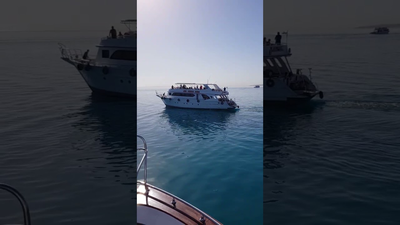 Плывем по скрытому раю Египта, где отдых кажется нереальным — Красное море. Лодка. Солнце. Море. ...