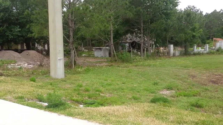 Bizarre Yard Sculptures in Kathleen Florida