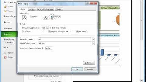 Comment créer des graphiques avec Excel 2010 sous Windows7 vidéo 8 www.formenligne.org