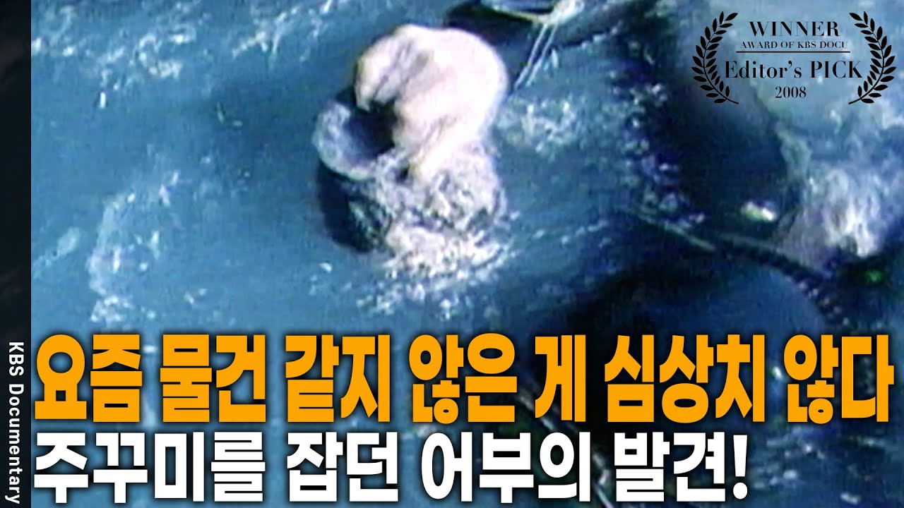 평범한 신고 전화를 확인하니 세상에… 2만 여점의 최상급 고려청자 였다! [Editor's PICK] | KBS 20080120 방송