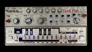 MAIND - Roland Tb 303 Devil Fish - // 07 // - One Synth One Track -