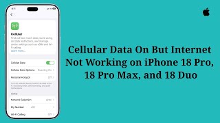 Cellular Data On But Internet Not Working on iPhone 18 Pro, 18 Pro Max, 18 Duo Here's the fix