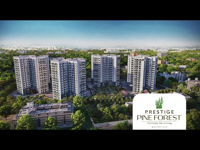 Still from the official video of Prestige Pine Forest