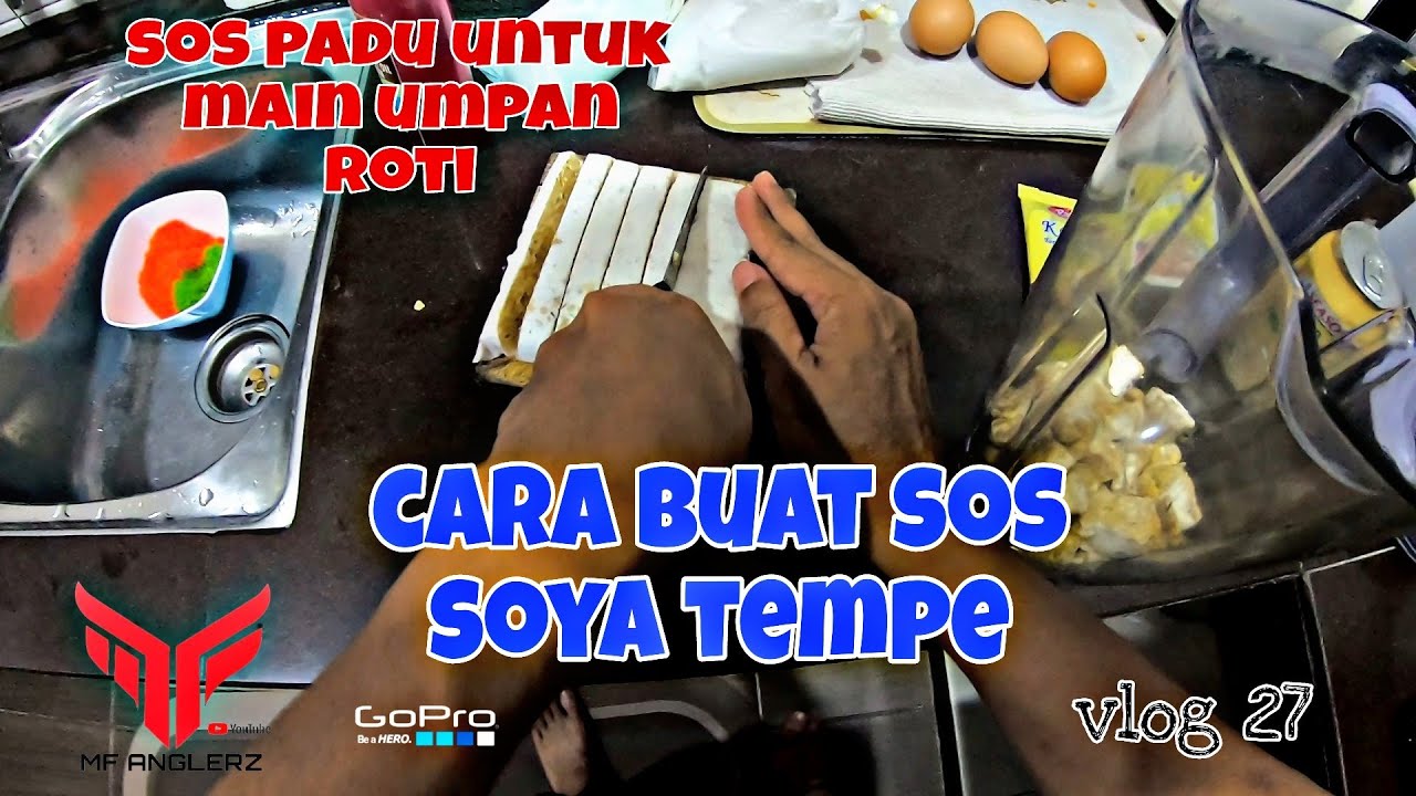 UMPAN PATIN KOLAM | SOS TEMPE | SOS ROTI UNTUK PATIN KOLAM | UMPAN JITU | KOLAM FIGHTER #VLOG27