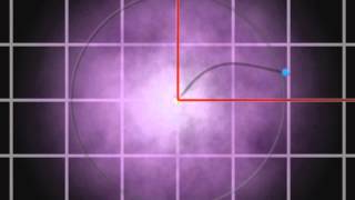 Heisenburg Uncertainty Principle Bohr Model