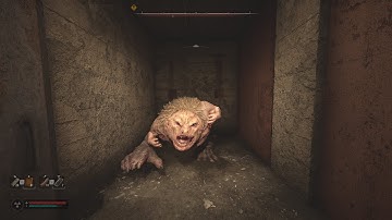 STALKER 2: Pseudogiant Jumpscare