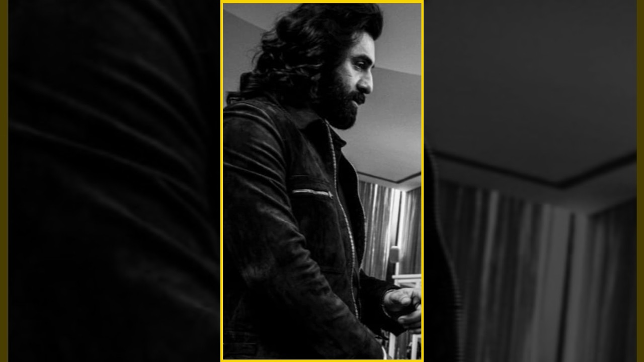 Animal Box Office Collection Day 2 