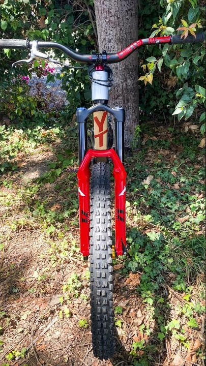 Single crown DH bike build!