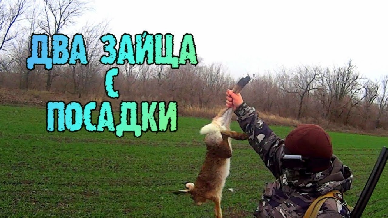 Магазин иж охота
