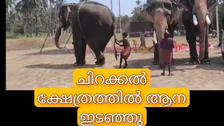 ഇനന ചറകകൽ പരതതന കമപൻ ചർപപളശര അനനതപതനനബൻ പപപന എടതത കടയനനത കണട