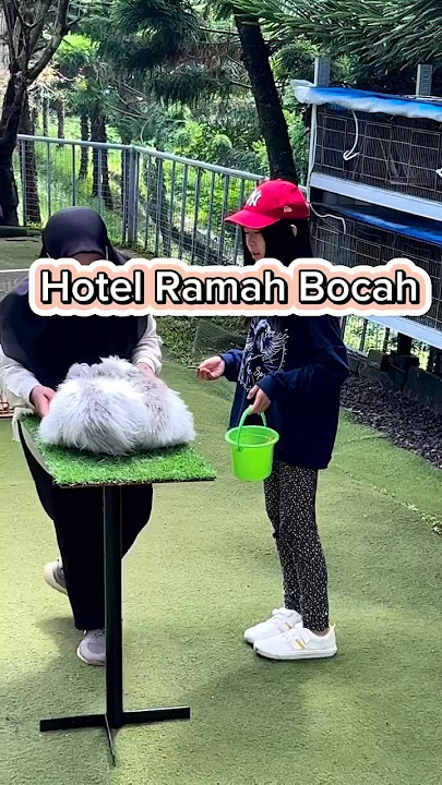 Rekomendasi hotel ramah bocah di Puncak Bogor