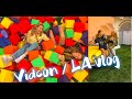 Vidcon and LA vlog