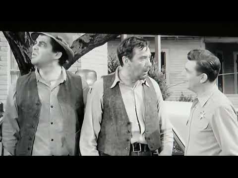 Aunt Bee the Warden Final Episode Seconds | The Andy Griffith Show
