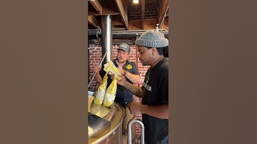 Tapping Potential Pink IPA | Oak Park Brewing 🍺 #craftbeer #brewing #beer