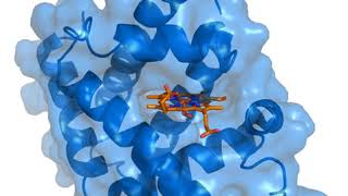 Ligand (biochemistry) | Wikipedia audio article