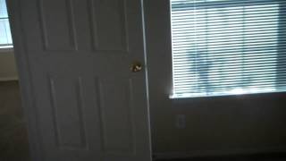 1 bedroom 1 bathroom 811 Square Foot,  A-2 Floorplan