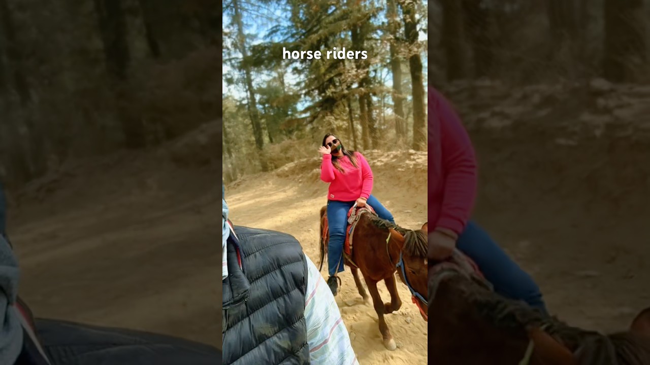 house ride in shimla 