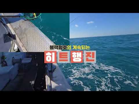 제주도 갑오징어낚시(블랙펄호)#제주갑오징어낚시#하우스쿡#HAUSCOOK#블랙펄호#애월항