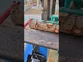 The process of cutting a raw wooden log using a vertical band saw machine in a carpentry workshop
