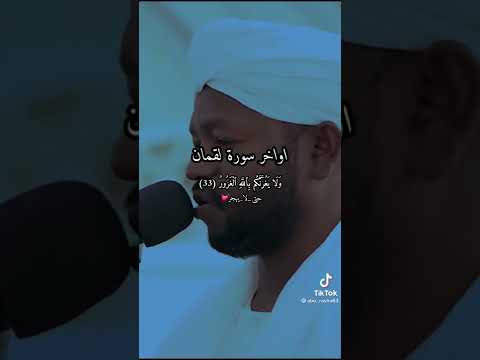 ١٩ فبراير ٢٠٢٢