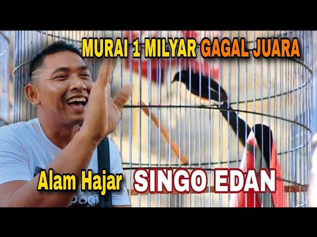 Murai 1 Milyar Gagal Juara ‼️ SE Gagal Menuju Anniversary SMM ‼️ SKN Halal bihalal class=