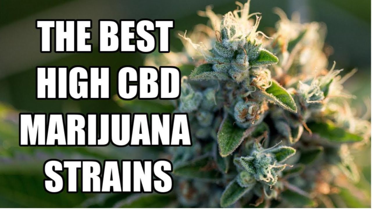 Top 5 High💪 CBD Strains / Low THC Marijuana Strain review🍃
