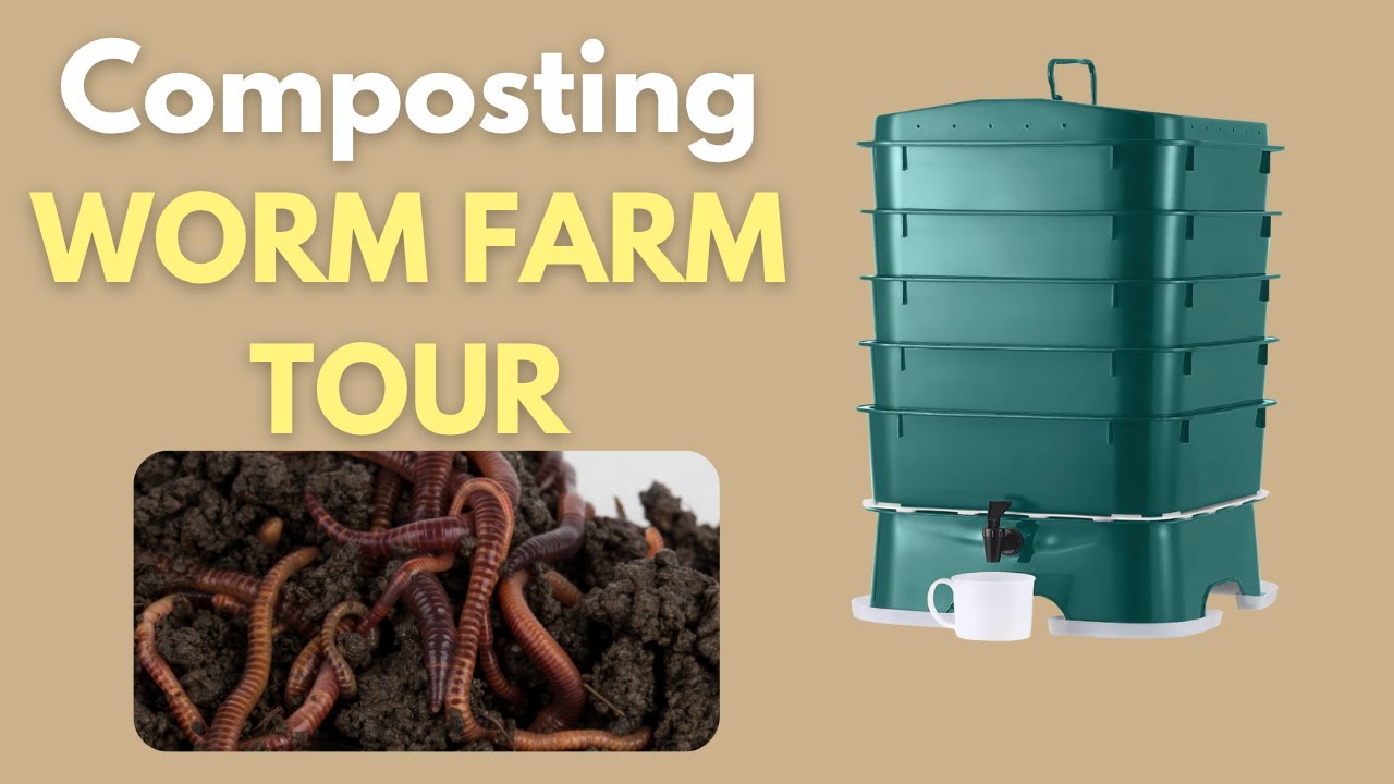Начинаю свой путь в мире вермикомпостных червей! Экскурсия по моей червячной ферме 🪱