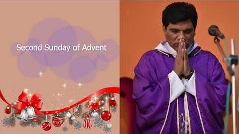 Homily for Second Sunday of Advent year (A)2019.