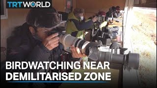 Birdwatchers Flock Near Korean Dmz