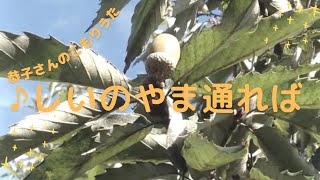 糸島の子守唄