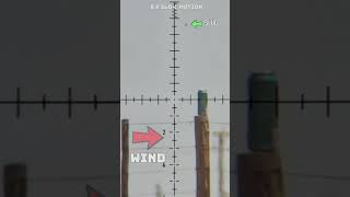 Real-World Trajectory in slow motion #fxairguns #elementoptics