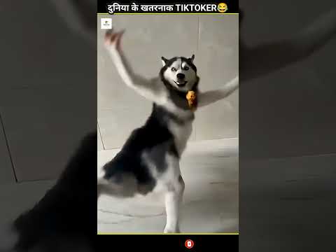 दुनिया के खतरनाक TIKTOKER