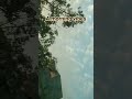 A morning vibes|mahpara diarie #viral#tranding #morning #morningvibes #morningroutine #morningview