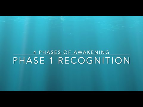 Phase 1 - Recognition: First Awakened Insight - Fred Davis - YouTube