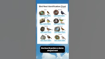 Bird Nest Identification Chart | Types of Bird Nests with Pictures #shorts