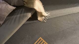 Alex Teppichboden Schlinge Objekteignung 400 500Cm Breite Raummaß