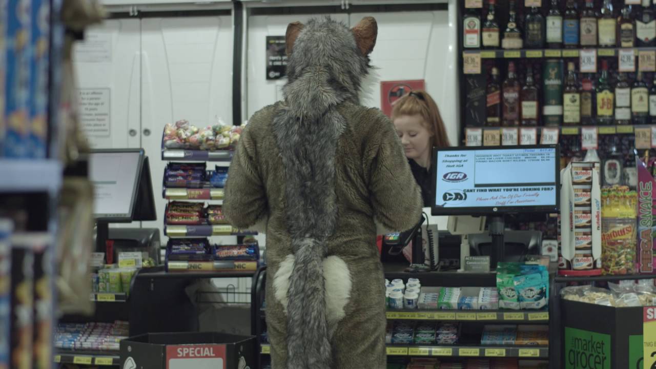 Mr wolf goes to the store