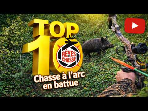 Bowhunting in a driven hunt - Top 10 Hunting Dreams No. 41 - March 2026