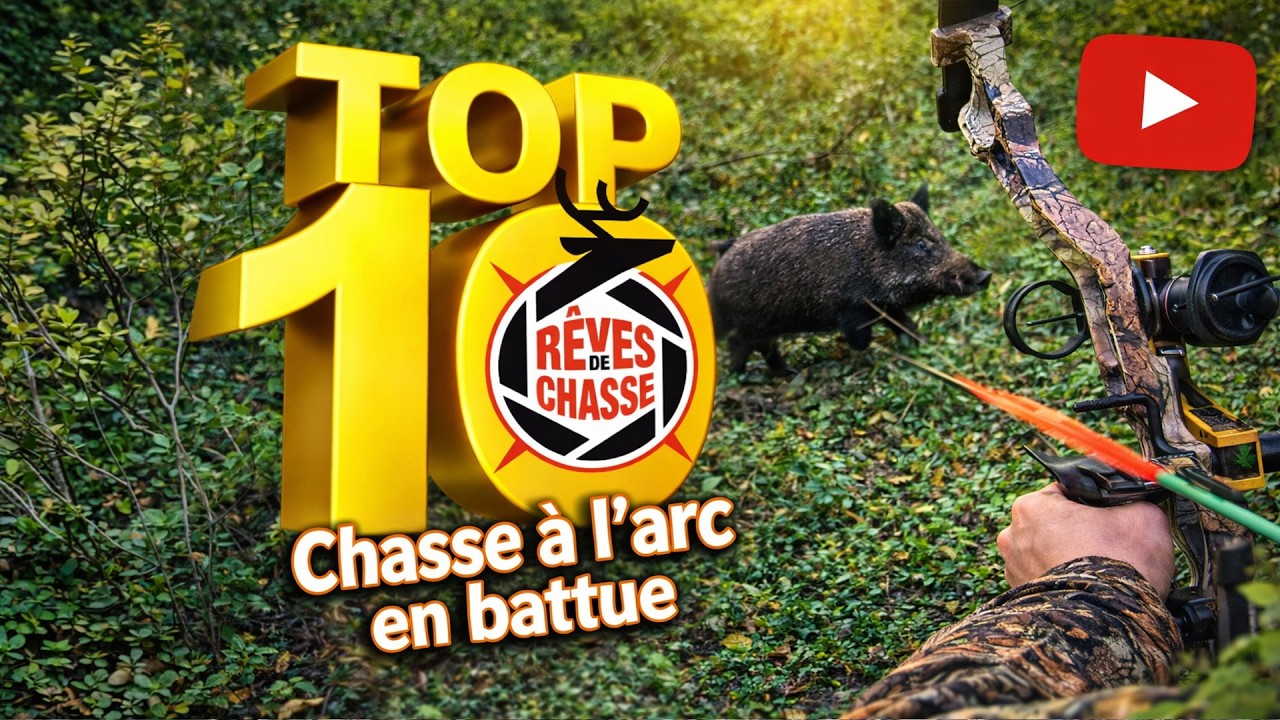 Chasse à l'arc en battue - Top 10 Rêves De Chasse n°41 - Mars 2026