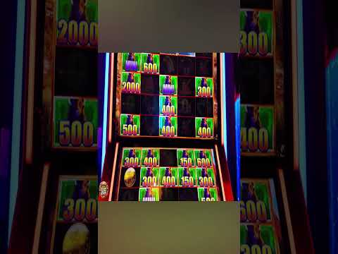 Understanding Progressive Jackpots at Lanista Casino