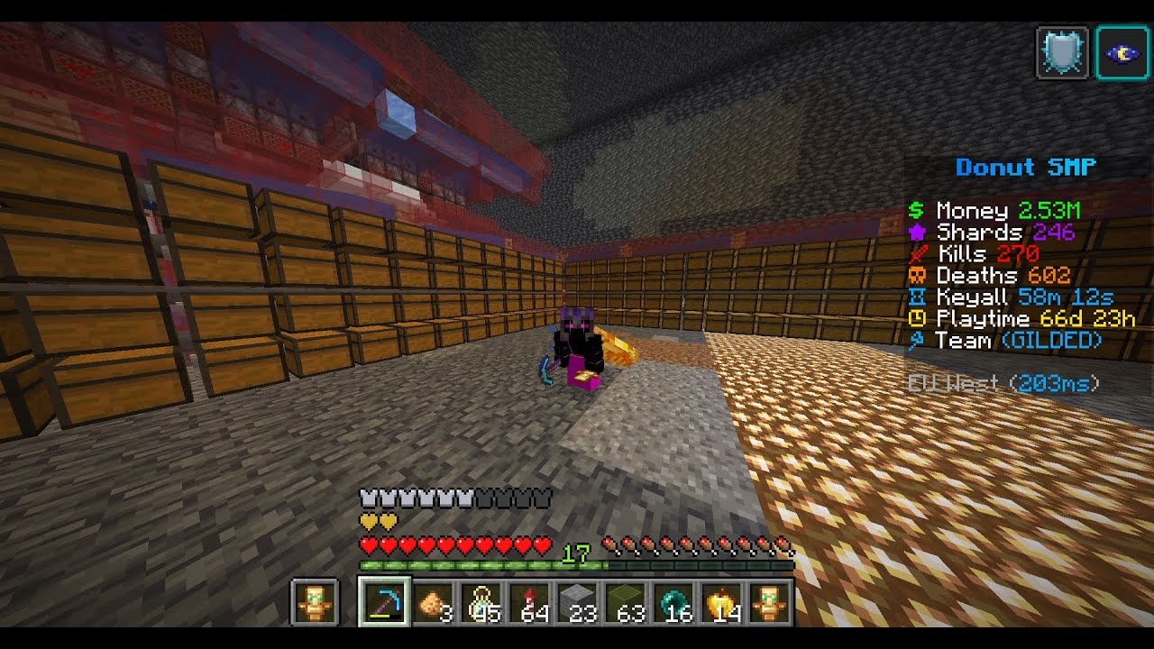 Donutsmp.net!!!! ""LIVE""