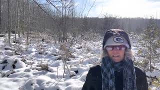 Greetings From Ephraim Preserve At Anderson Pond