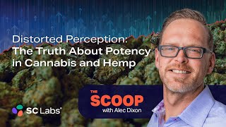 The Scoop S1 E8 | The Truth About THC Potency
