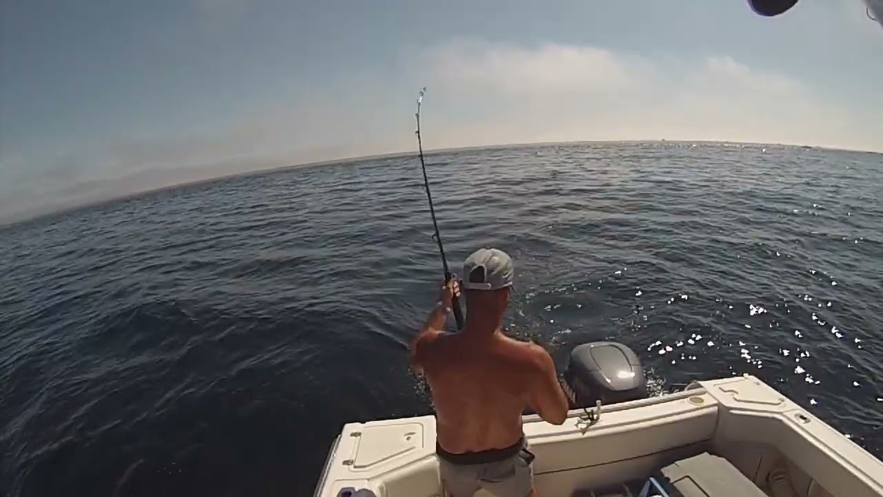 Bluefin #1 on the Fish'N DiPs